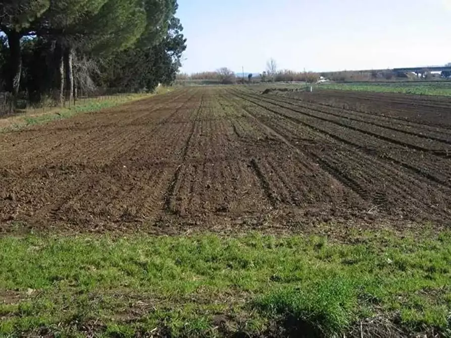 Immagine 1 di Terreno agricolo in vendita  a Prato