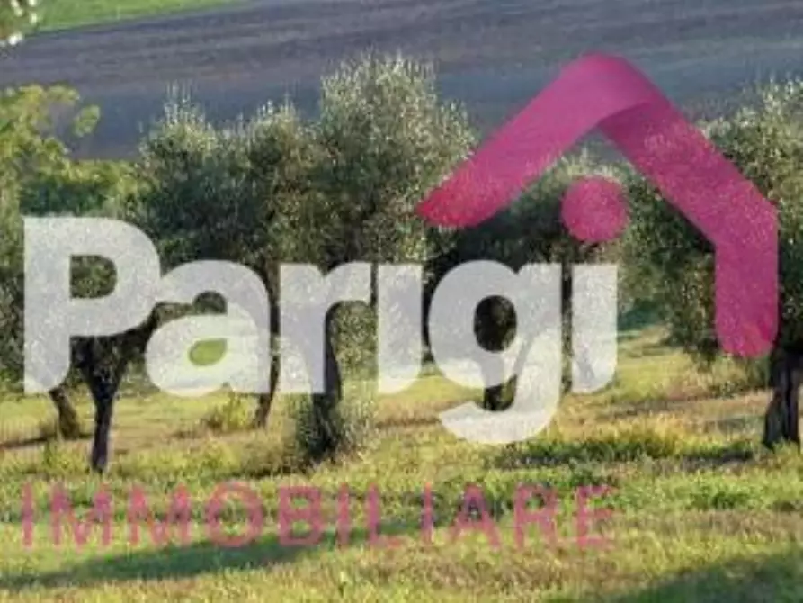Immagine 1 di Terreno agricolo in vendita  a Prato