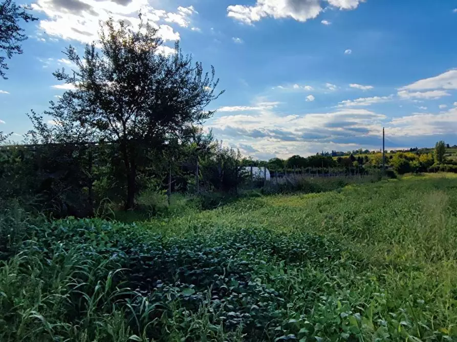 Immagine 2 di Terreno agricolo in vendita  a Sommacampagna