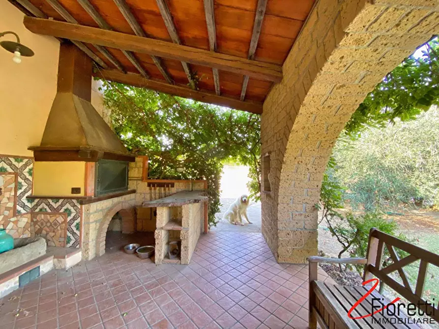 Immagine 15 di Villa in vendita  a Piombino