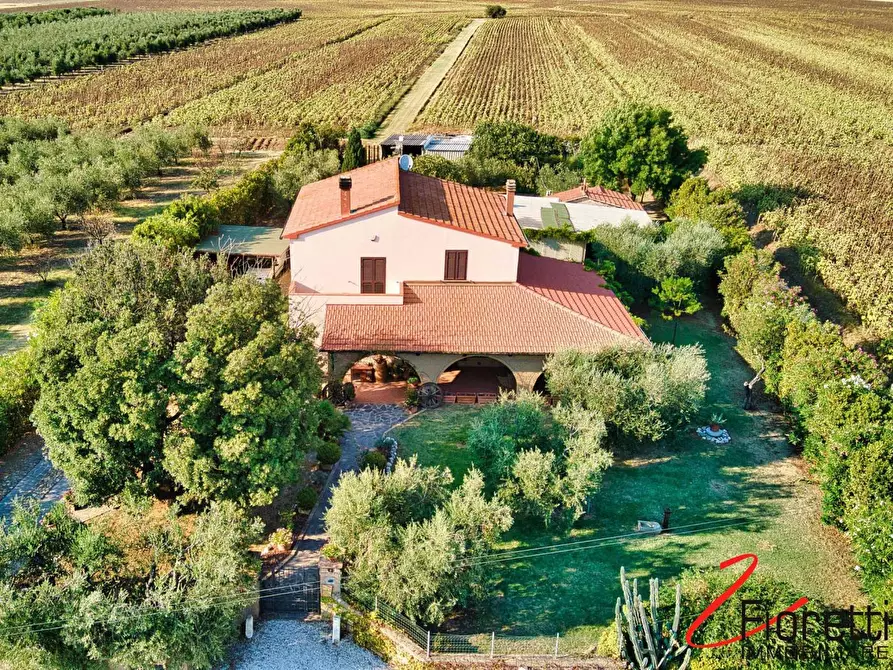 Immagine 5 di Villa in vendita  a Piombino