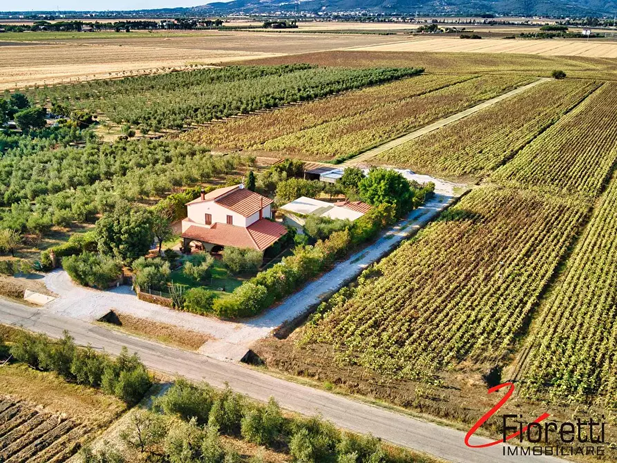 Immagine 2 di Villa in vendita  a Piombino