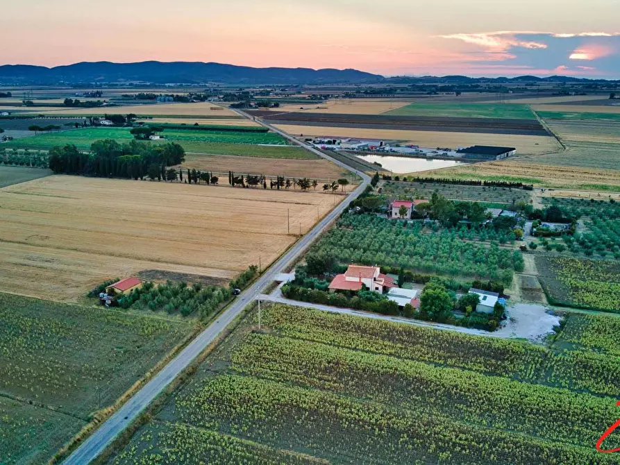 Immagine 4 di Villa in vendita  a Piombino