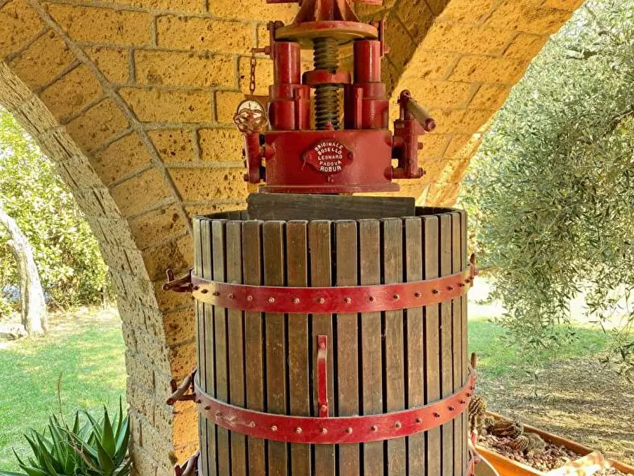 Immagine 11 di Villa in vendita  a Piombino