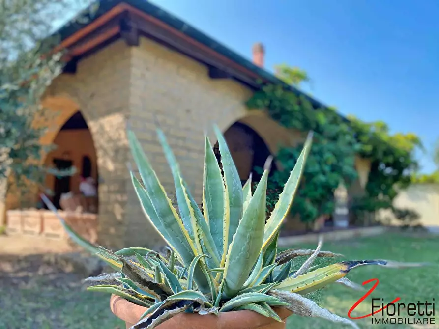 Immagine 9 di Villa in vendita  a Piombino