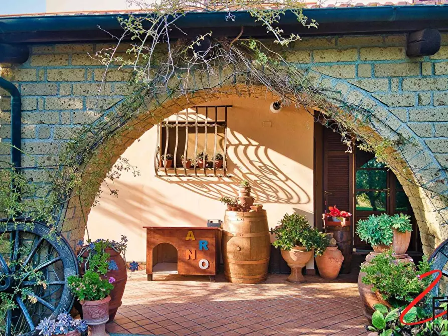 Immagine 7 di Villa in vendita  a Piombino