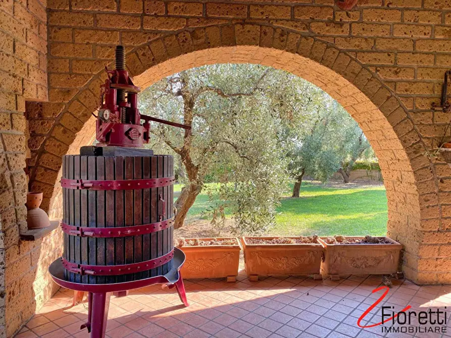 Immagine 14 di Villa in vendita  a Piombino