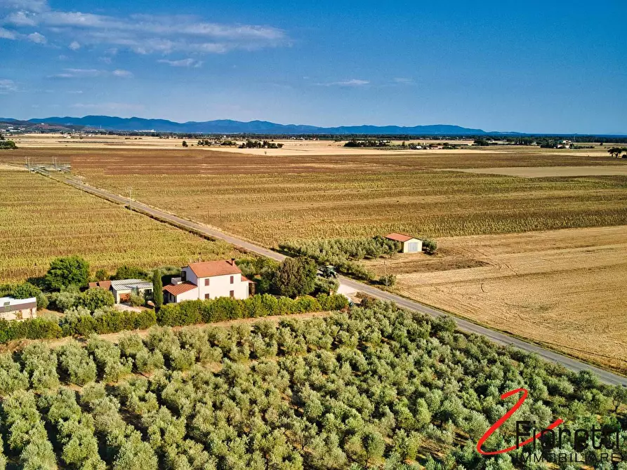 Immagine 3 di Villa in vendita  a Piombino