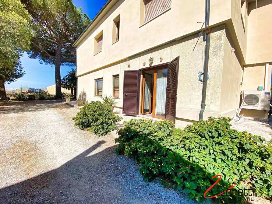 Immagine 17 di Appartamento in vendita  a Piombino