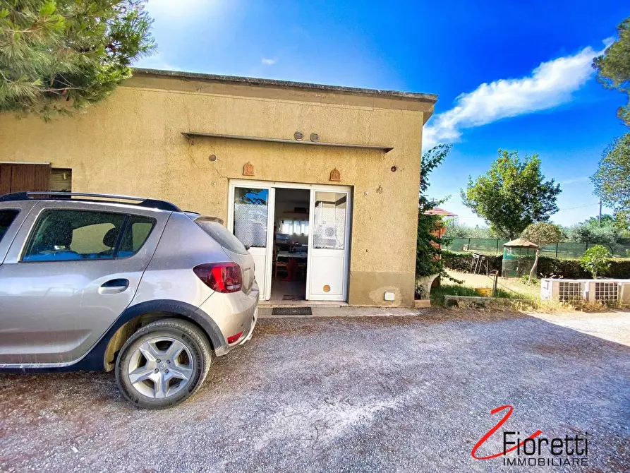 Immagine 18 di Appartamento in vendita  a Piombino