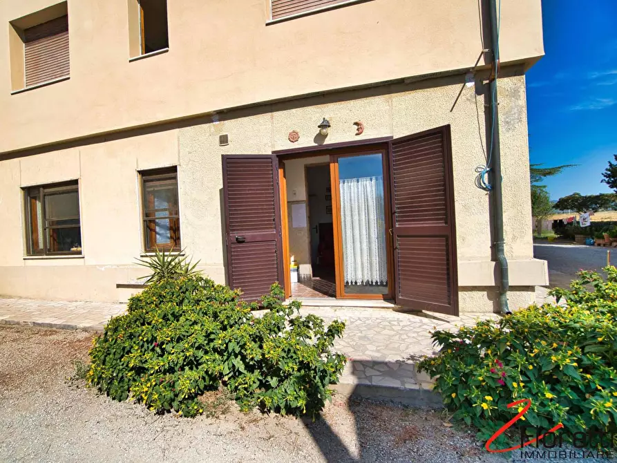 Immagine 6 di Appartamento in vendita  a Piombino