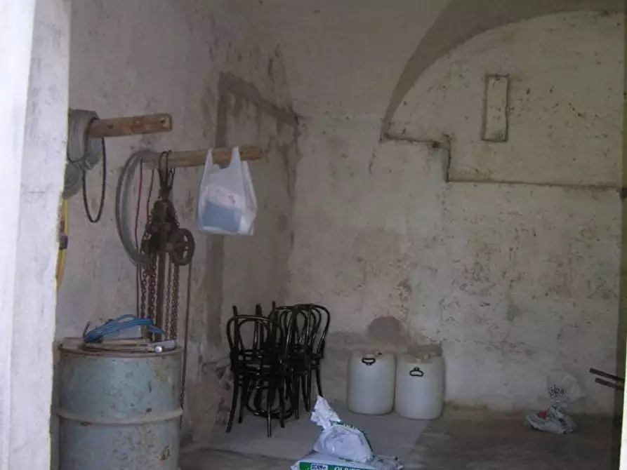 Immagine 8 di Terreno agricolo in vendita  a Campiglia Marittima