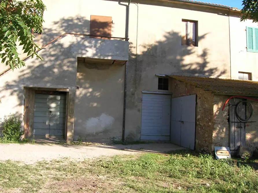 Immagine 5 di Terreno agricolo in vendita  a Campiglia Marittima