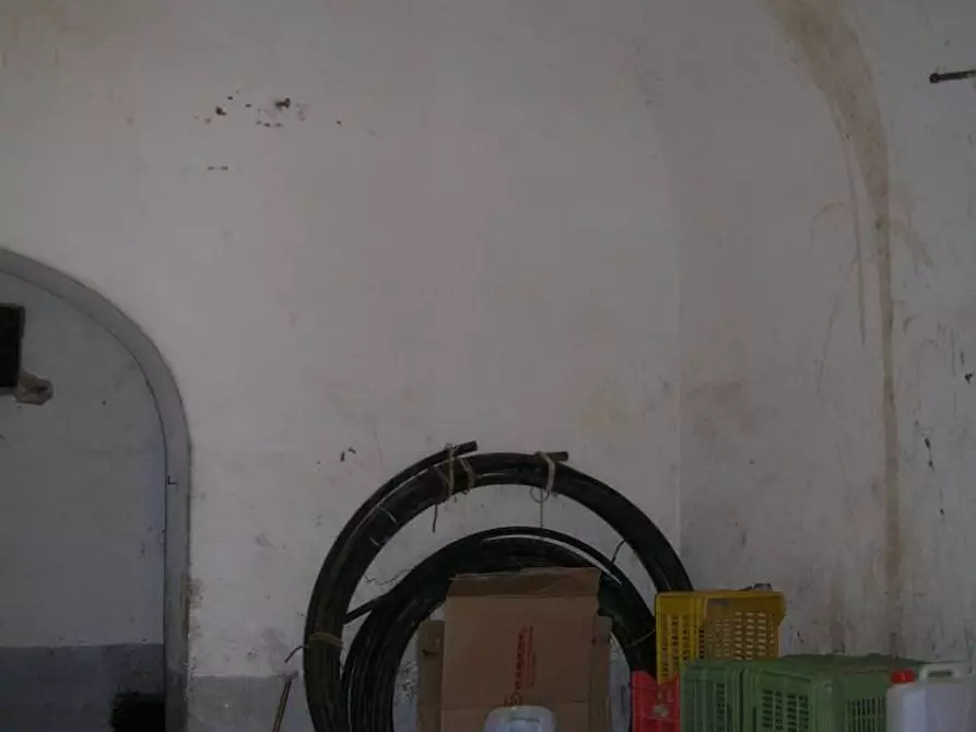 Immagine 7 di Terreno agricolo in vendita  a Campiglia Marittima