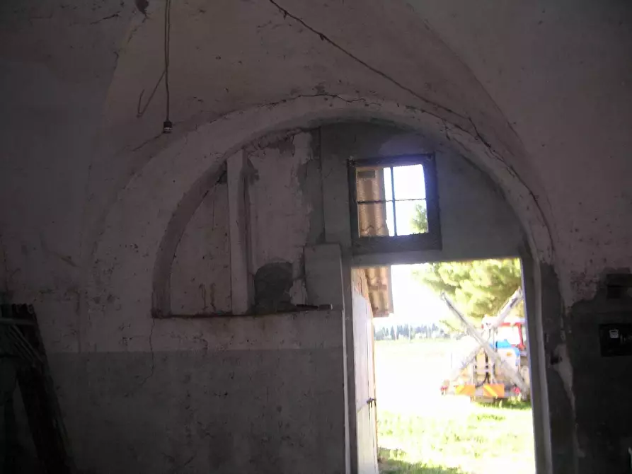 Immagine 6 di Terreno agricolo in vendita  a Campiglia Marittima