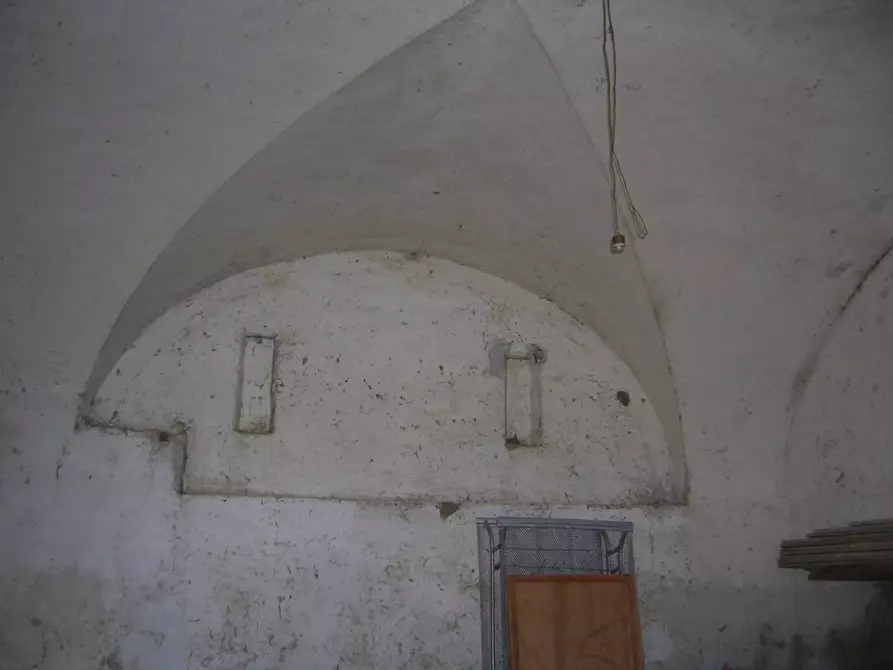 Immagine 10 di Terreno agricolo in vendita  a Campiglia Marittima