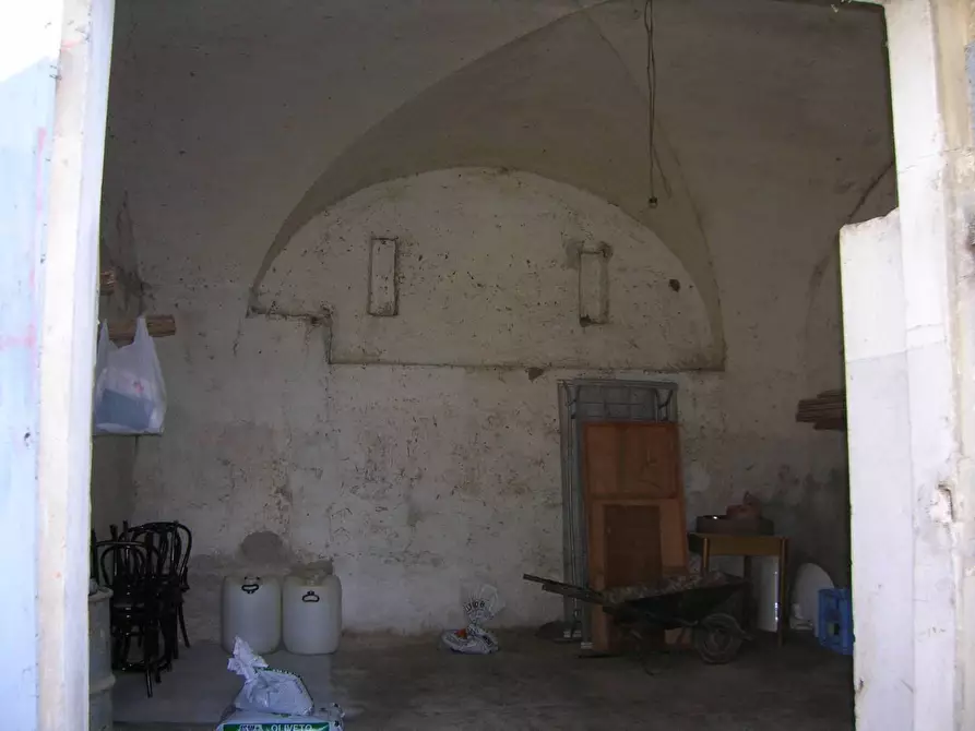 Immagine 9 di Terreno agricolo in vendita  a Campiglia Marittima