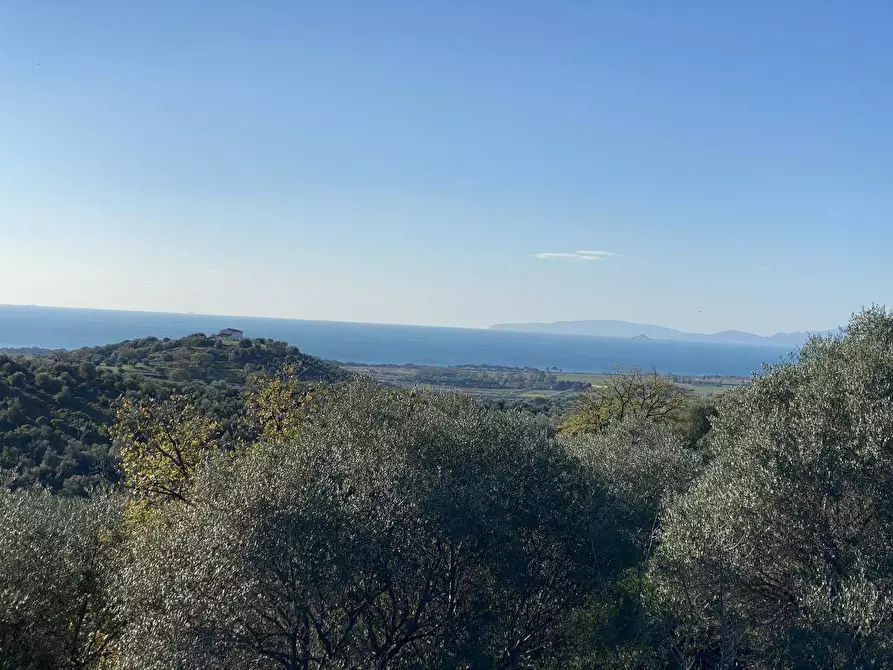 Immagine 11 di Terreno agricolo in vendita  a Piombino