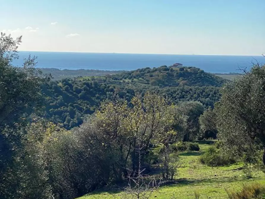 Immagine 14 di Terreno agricolo in vendita  a Piombino