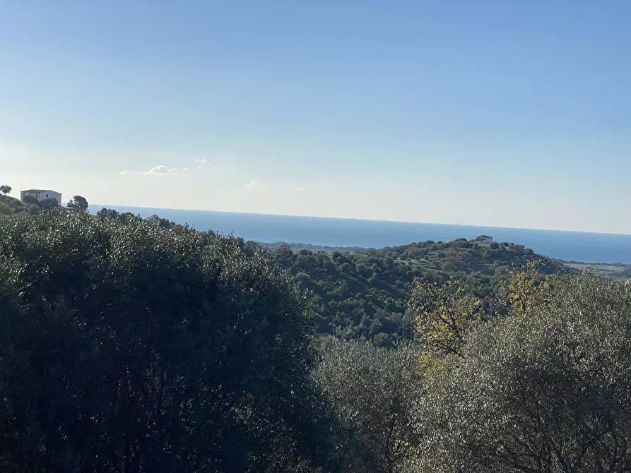 Immagine 12 di Terreno agricolo in vendita  a Piombino