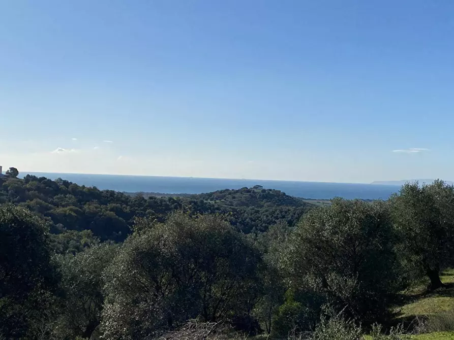Immagine 9 di Terreno agricolo in vendita  a Piombino
