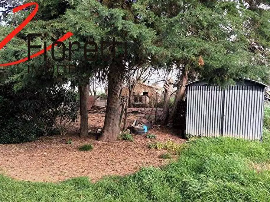 Immagine 9 di Appartamento in vendita  a Campiglia Marittima