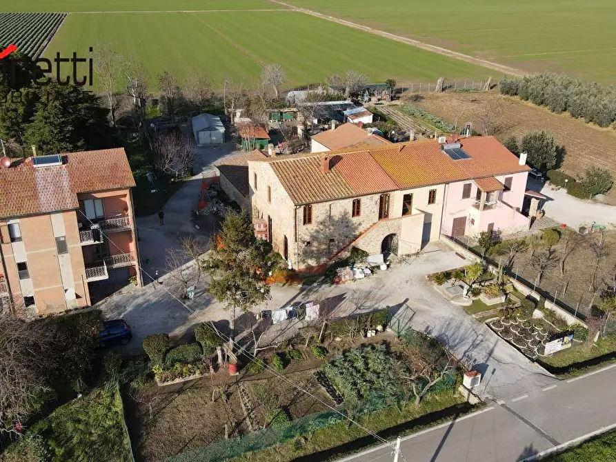 Immagine 3 di Appartamento in vendita  a Campiglia Marittima