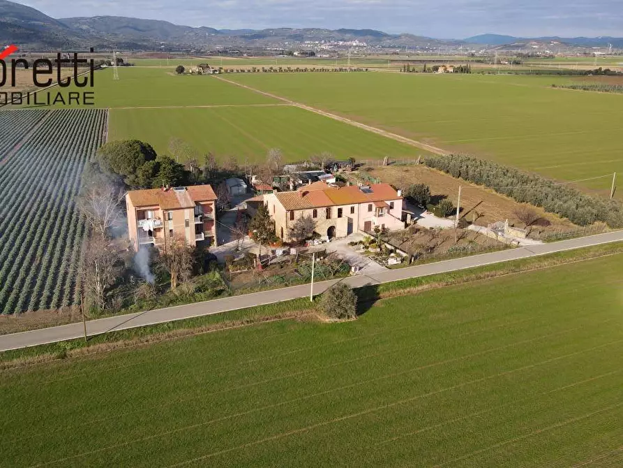 Immagine 2 di Appartamento in vendita  a Campiglia Marittima