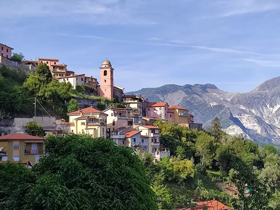 Immagine 1 di Terratetto in vendita  a Carrara