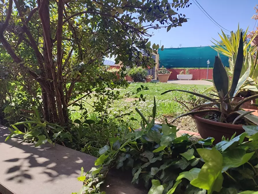 Immagine 22 di Terratetto in vendita  a Castelnuovo Magra