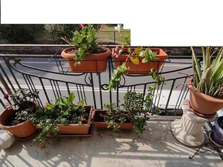 Immagine 17 di Casa semindipendente in vendita  a Carrara