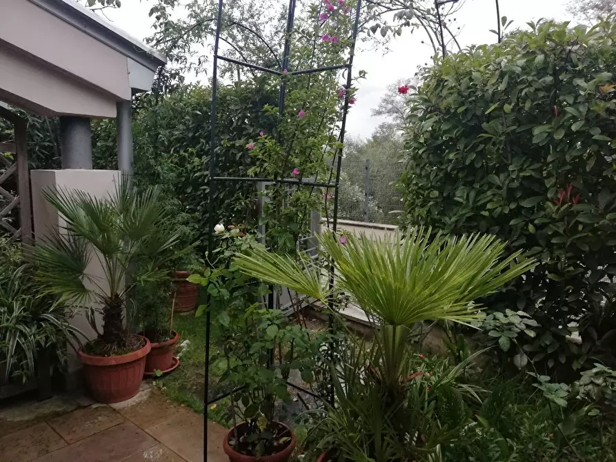 Immagine 2 di Appartamento in vendita  a Ortonovo