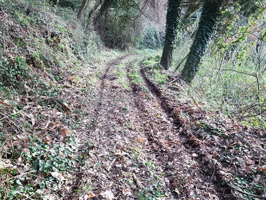 Immagine 47 di Casa indipendente in vendita  a Sarzana