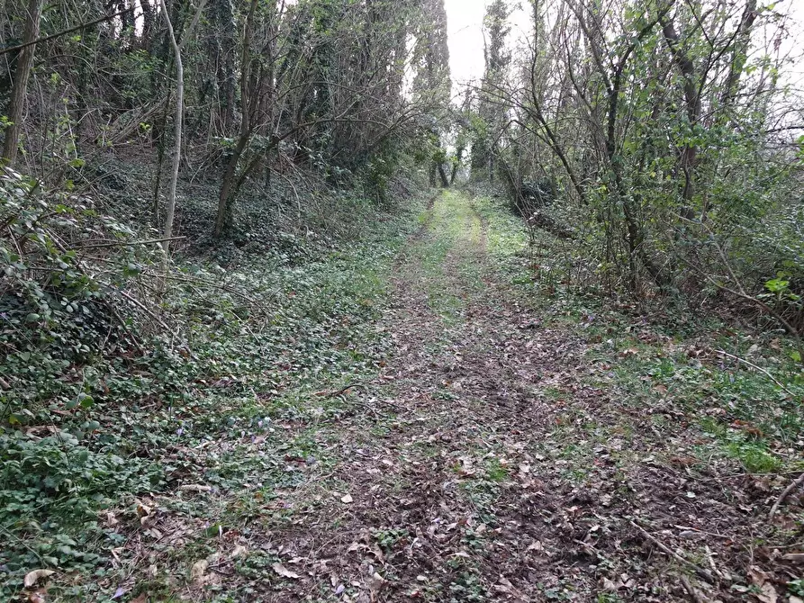 Immagine 48 di Casa indipendente in vendita  a Sarzana