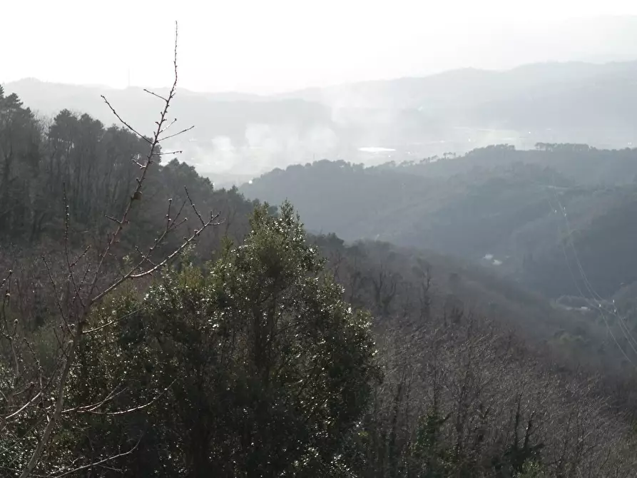 Immagine 27 di Casa indipendente in vendita  a Sarzana