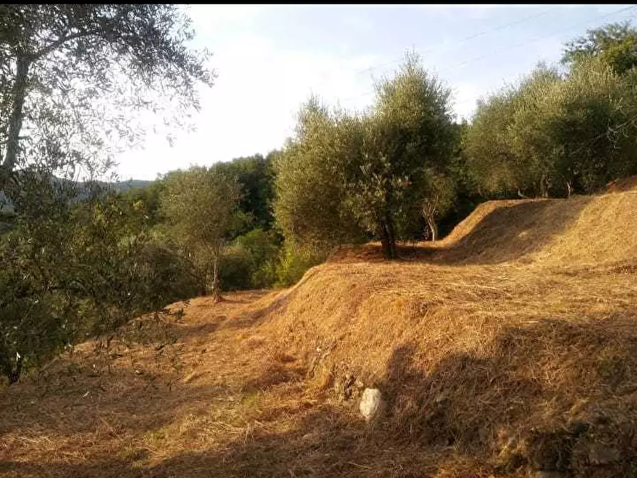 Immagine 2 di Casa indipendente in vendita  a Sarzana