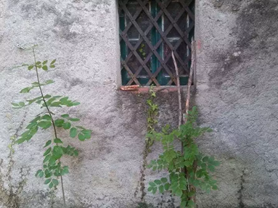 Immagine 5 di Casa indipendente in vendita  a Sarzana