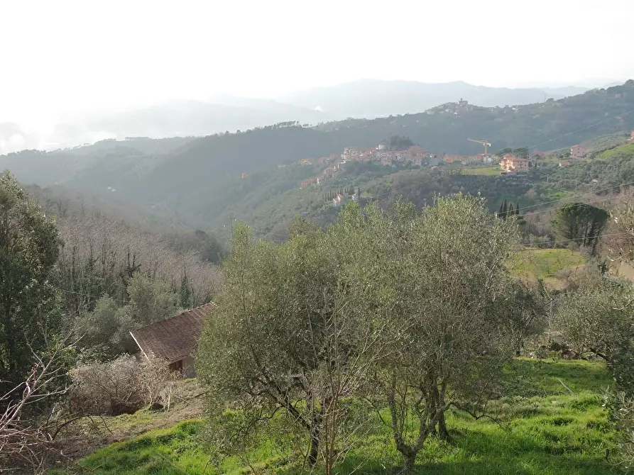 Immagine 26 di Casa indipendente in vendita  a Sarzana