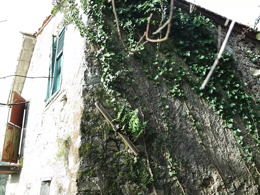 Immagine 40 di Casa indipendente in vendita  a Sarzana