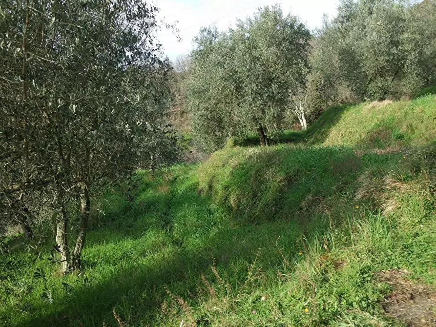 Immagine 17 di Casa indipendente in vendita  a Sarzana