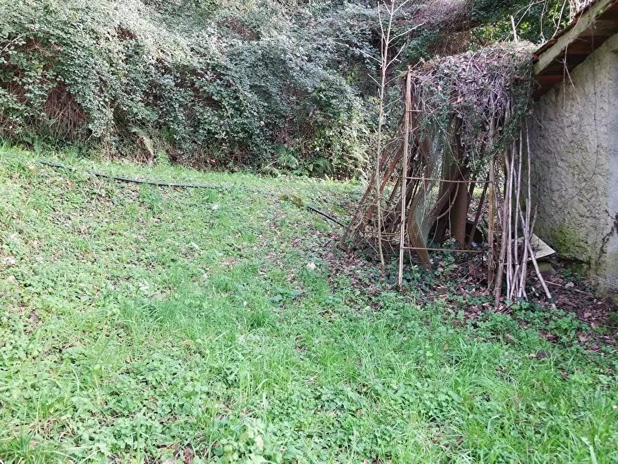 Immagine 44 di Casa indipendente in vendita  a Sarzana