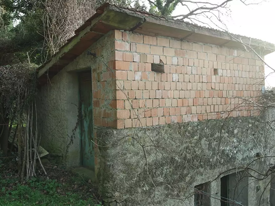 Immagine 43 di Casa indipendente in vendita  a Sarzana