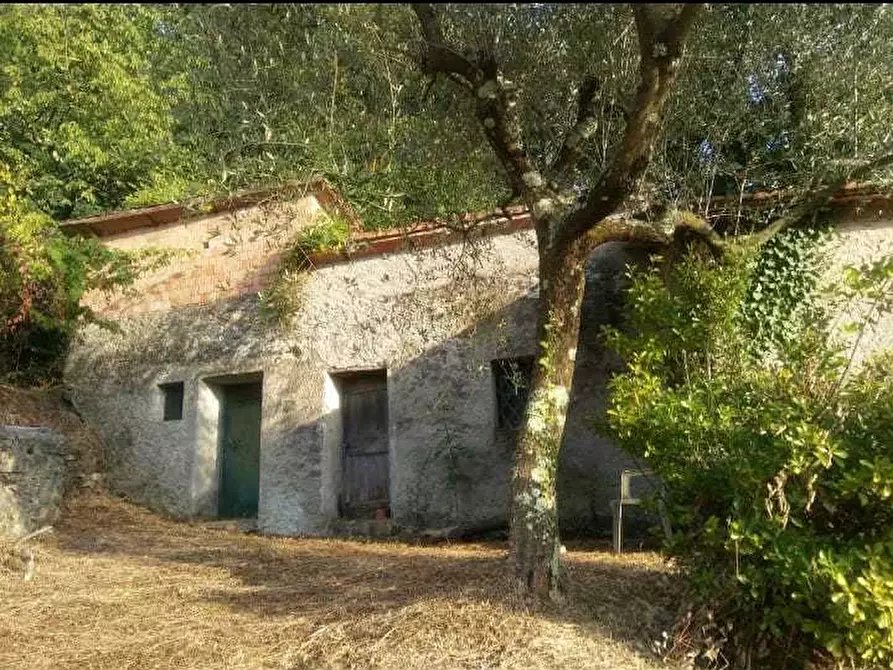 Immagine 3 di Casa indipendente in vendita  a Sarzana