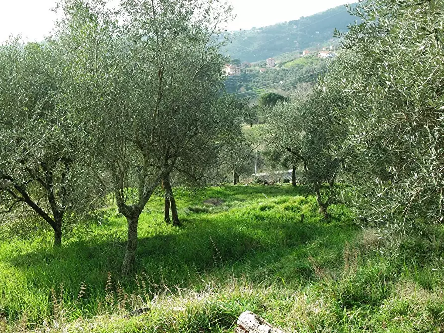 Immagine 18 di Casa indipendente in vendita  a Sarzana