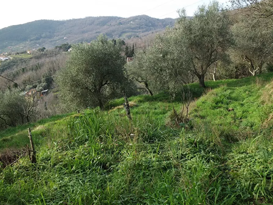 Immagine 42 di Casa indipendente in vendita  a Sarzana