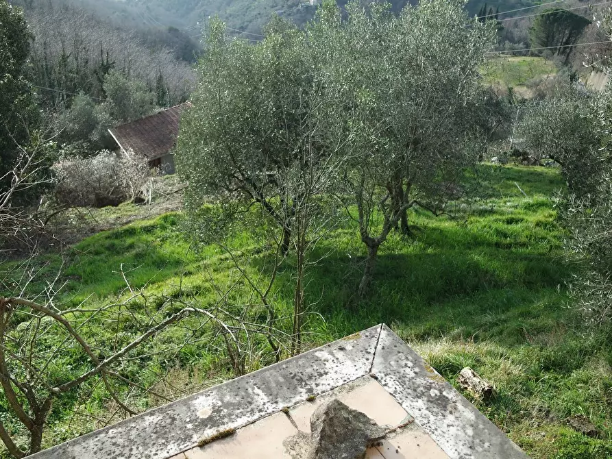 Immagine 31 di Casa indipendente in vendita  a Sarzana