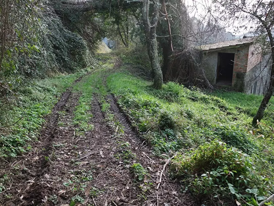 Immagine 46 di Casa indipendente in vendita  a Sarzana