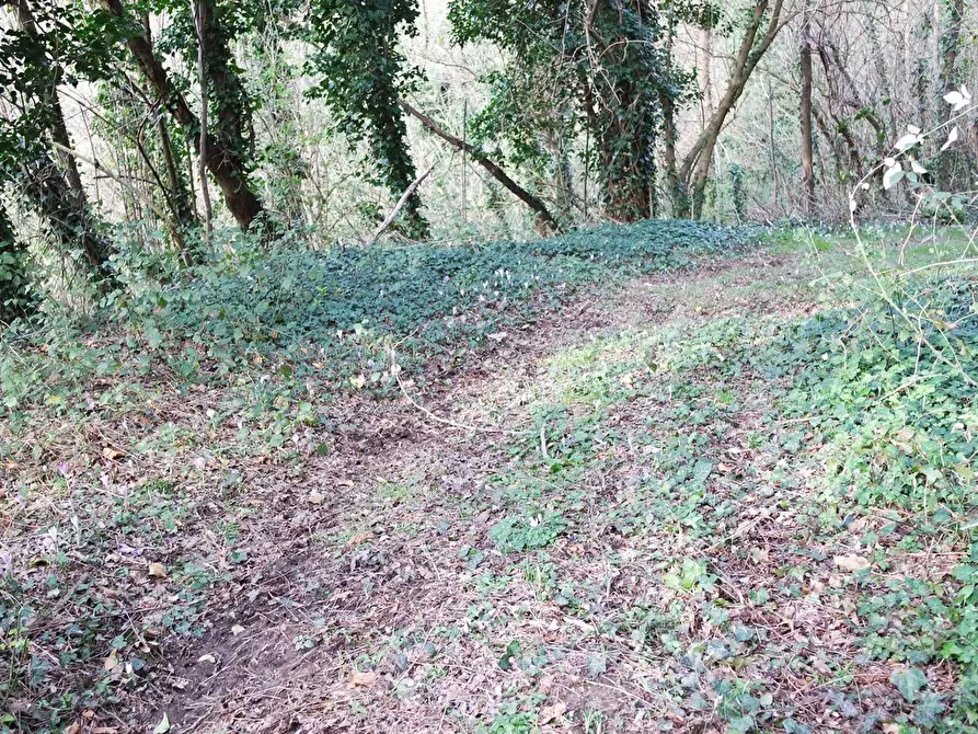 Immagine 49 di Casa indipendente in vendita  a Sarzana