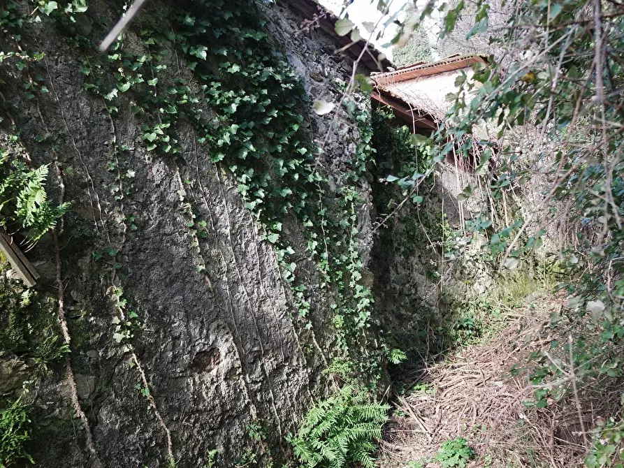 Immagine 41 di Casa indipendente in vendita  a Sarzana