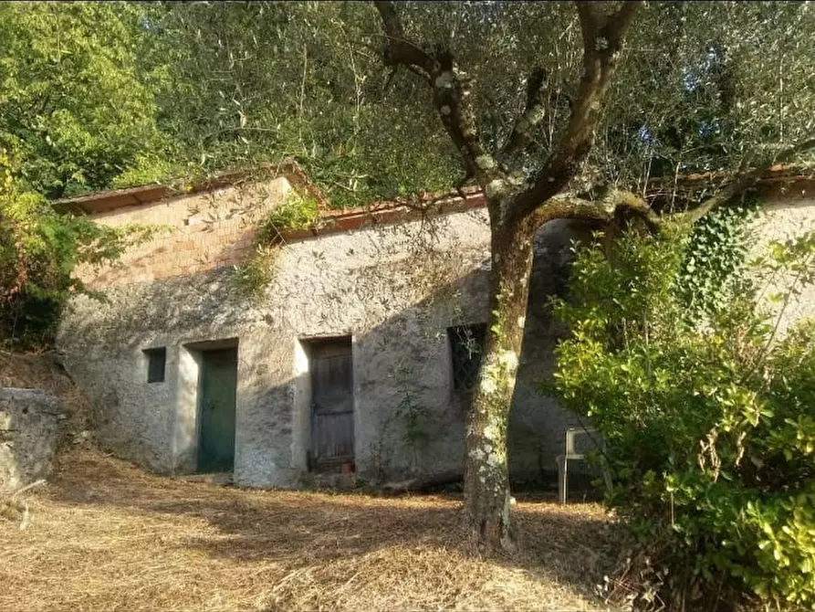Immagine 11 di Casa indipendente in vendita  a Sarzana